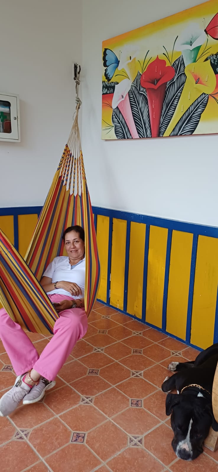 Zona de hamacas para relajarse en la naturaleza